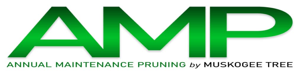 AMP_banner